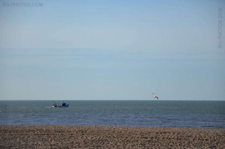 Le chalutier et la mouette