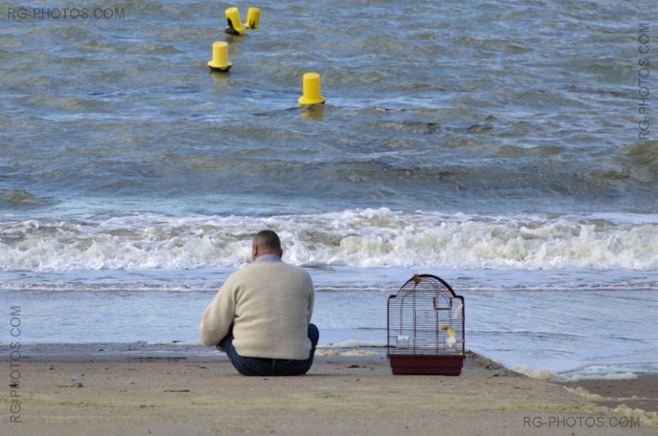 L'homme et le canari