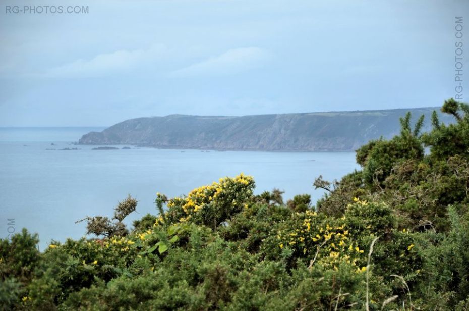 Ajonc et Nez de Jobourg