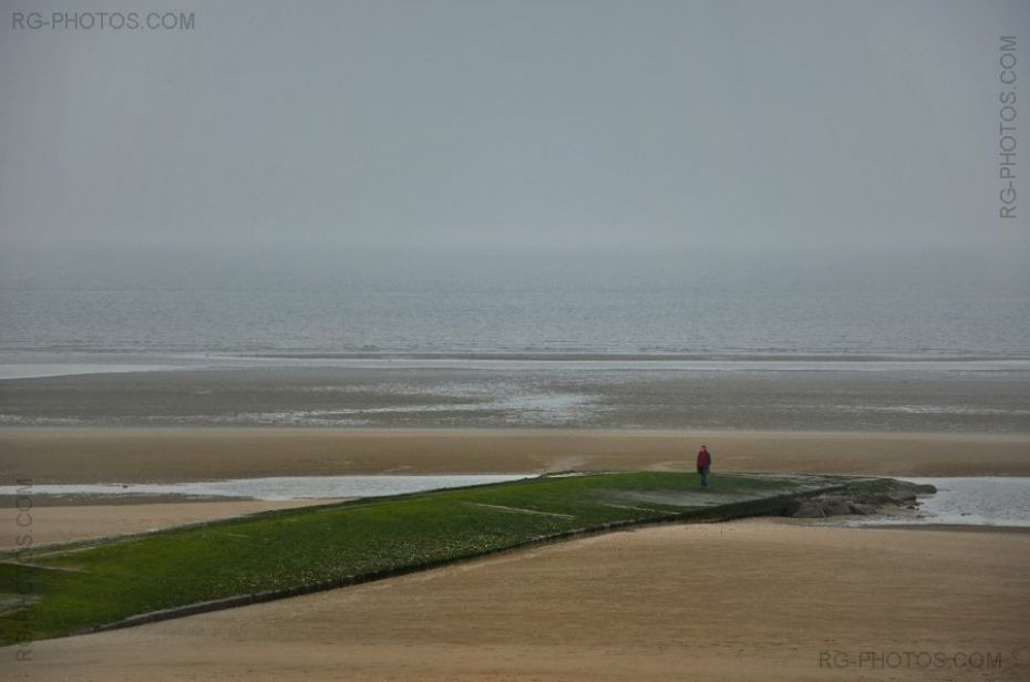 Femme  la pointe d'un pi vert d'algue un jour de brume