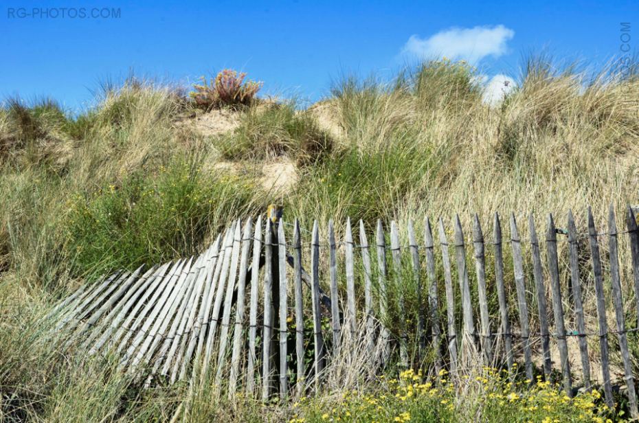 Ganivelles au pied des dunes de Cabourg