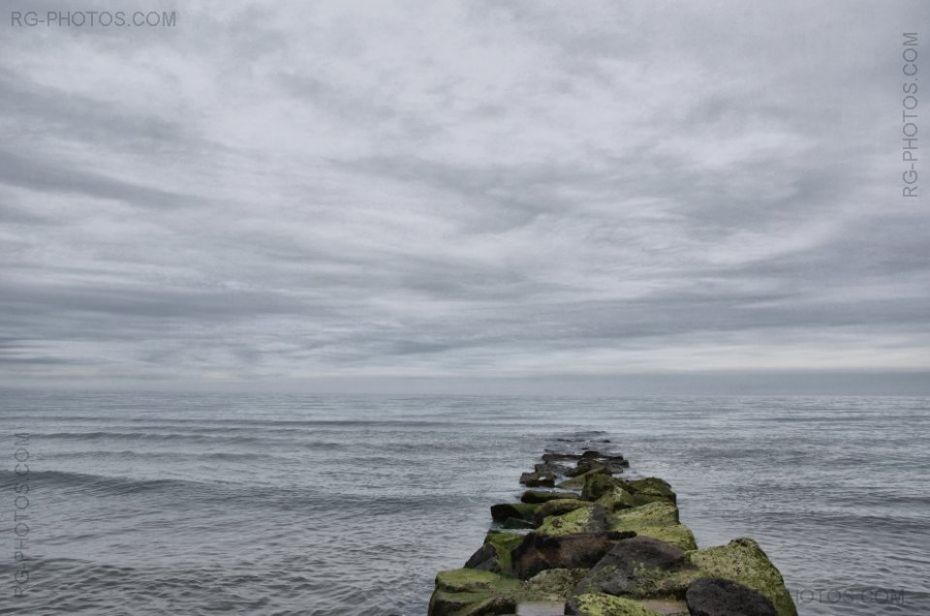 Epi vert s'enfonant dans la mer de la mme couleur que le ciel