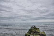 Epi vert s'enfonant dans la mer de la mme couleur que le ciel