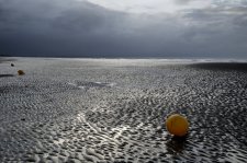 Epi noir s'enfonant dans la mer sous un ciel d'orage