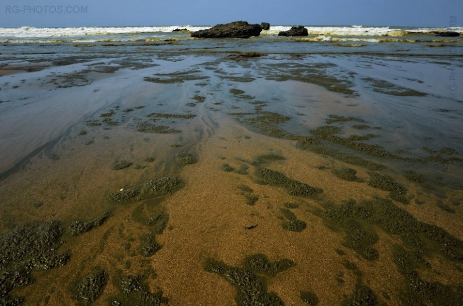 Algues, sable et rochers