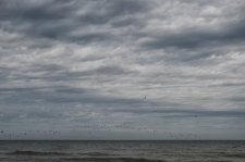 Vol de mouettes au ras des vagues