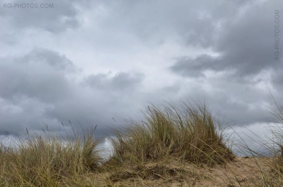 Dans les dunes de Cabourg