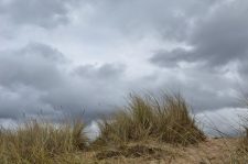 Dans les dubnes de Cabourg