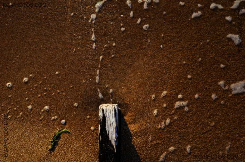 Nature morte, planche d'épi sur sable