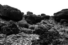 Dans les rochers à Villers-sur-Mer